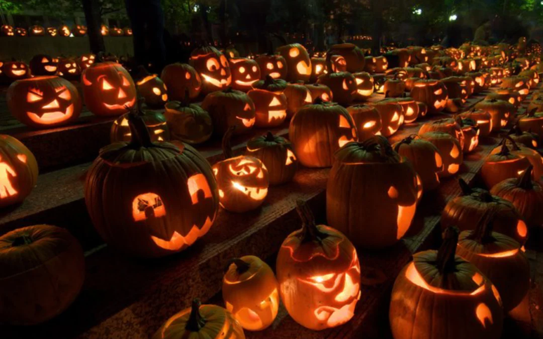 Il Panino di Bob a Halloween Borgo 2025